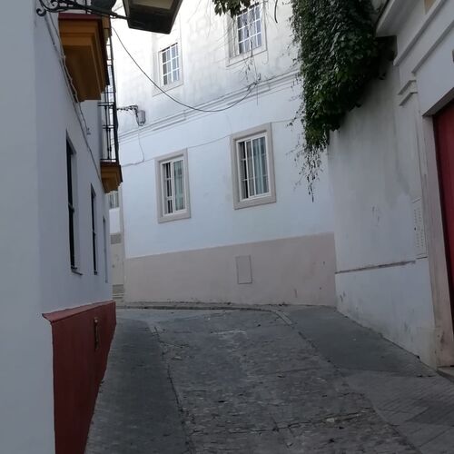 Alojamiento Hipatia Jerez foto 54